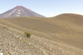 Lonquimay and tolhuaca volcano, Chile Royalty Free Stock Photo