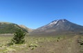 Lonquimay volcano in Chile Royalty Free Stock Photo