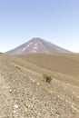 Lonquimay volcano, Chile Royalty Free Stock Photo