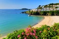 Looe Cornwall beach ink flowers beautiful coast scene