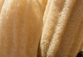 Loofah (natural luff sponge) Royalty Free Stock Photo