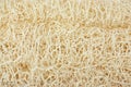 Loofah texture Royalty Free Stock Photo