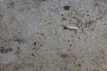 Look above, the rubbish from smoked cigarette butts makes the floor dirty. Royalty Free Stock Photo