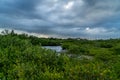 A look around Emerson Point Preserve