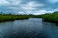 A look around Emerson Point Preserve