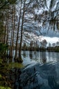 Riverhills Park on the Hillsbourgh River