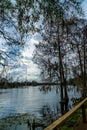 Riverhills Park on the Hillsbourgh River