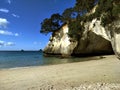 Look at the beautiful Cathedral cove Royalty Free Stock Photo