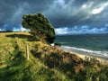 Look at cloudy sky before rain coming Royalty Free Stock Photo