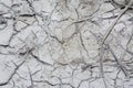 Look down on crack dried mud surface of the ground. Royalty Free Stock Photo