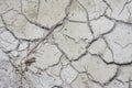 Look down on crack dried mud surface of the ground. Royalty Free Stock Photo