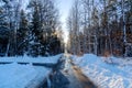 A look down a lonely road into a snowy forest Royalty Free Stock Photo