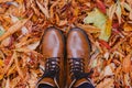 Look down on woman boots. Orange and brown fallen leaves. First person view. Walk in autumn forest concept Royalty Free Stock Photo