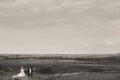 A look from far on the wedding couple walking on the field Royalty Free Stock Photo