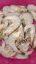 Look how fresh these shrimp are. Royalty Free Stock Photo