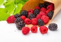 They look like artificial treats! But they are delicious and beautiful blackberries and fresh raspberries. Royalty Free Stock Photo