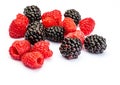 They look like artificial treats! But they are delicious and beautiful blackberries and fresh raspberries. Royalty Free Stock Photo