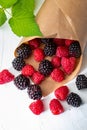 They look like artificial treats! But they are delicious and beautiful blackberries and fresh raspberries. Isolated Royalty Free Stock Photo