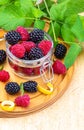 They look like artificial treats! But they are delicious and beautiful blackberries and fresh raspberries. Royalty Free Stock Photo