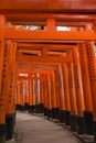 Look through multiple torii at Fushimi Inari Taisha Shinto Shrine.