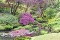 A look over a stream with azaleas, ferns and acers to an image of a pagoda in the Japanese garden in park Clingendael, the Hague 4 Royalty Free Stock Photo