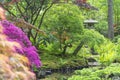 A look over a stream with azaleas, ferns and acers to an image of a pagoda in the Japanese garden in park Clingendael, the Hague Royalty Free Stock Photo