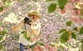 Look over there. male photographer enjoy cherry blossom. travel and walking in cherry park. hobby at retirement. tourism Royalty Free Stock Photo