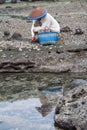 Look for shells at low tide