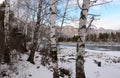 A look through a snow-covered birch forest at a clearing in a river flowing through a picturesque valley in the mountains Royalty Free Stock Photo