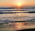 Look sunset beach sea nature surf ocean Royalty Free Stock Photo