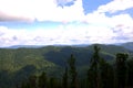 A look through tall pines to the tops of mountain ranges beneath white cumulus clouds