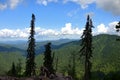 A look through the tall pines to the tops of the mountains overgrown with coniferous forests lying under a blue cloudy sky