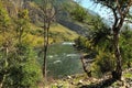 A look through tree trunks at a beautiful and turbulent river flowing along the bottom of a deep canyon Royalty Free Stock Photo