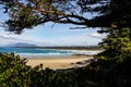 Pacific rim national park. Look at ocean and mountains through the rain forrest