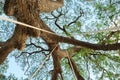 Look up perk tree