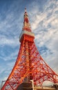 The look up at the Tokyo Tower. Shiba-koen district of Minato. T