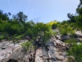 Look up view of limestone hill in Tasik Cermin, Ipoh. Royalty Free Stock Photo