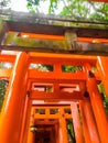 Look up view red wooden poles of Torii gates at Fushimi Inari Shrine in Kyoto. Royalty Free Stock Photo