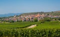 Look at Vogtsburg-Burkheim with church and castle ruins. Kaiserstuhl