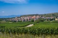 Look at Vogtsburg-Burkheim with church and castle ruins. Kaiserstuhl