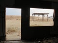 Lookin out Window of Abandoned Old House in Bombay Beach, California