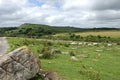 Sheepstor Dartmoor, England