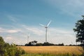 A wind turbine farm in a rural field