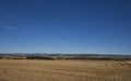 Looking across the Golden cut wheat fields of farmland and over the Strathmore Valley to the Angus Glens. Royalty Free Stock Photo
