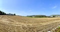 Looking across hay fields towards Port Erin, Isle of Man Royalty Free Stock Photo