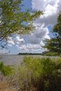 Looking across Lake Texana through the heavily vegetated margins Royalty Free Stock Photo