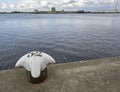 Looking across the North Sea Canal at the Liquid Storage Tanks and an Agricultural Chemical Complex in Den Haag.