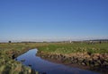 Looking across part of the Barry Burn that wends its way through the Course at Carnoustie Golf Links.