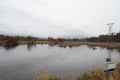 Looking across a small section of wetlands Royalty Free Stock Photo