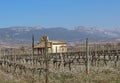 Looking across a vineyard at a Spanish country houe